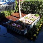 LawryBrosGardening_PresaleMakeover_Fitzroy