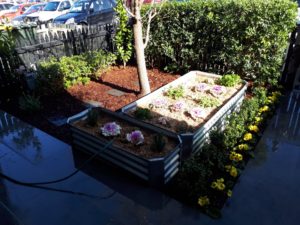 LawryBrosGardening_PresaleMakeover_Fitzroy