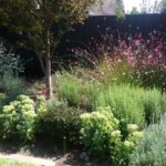 LawryBrosGardening_Residential_Garden_Services